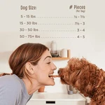 Chicken Jerky Healthy All Natural Dog Treats Human Grade For Hip And Joint 12 Oz. Fixed Price $19.00.