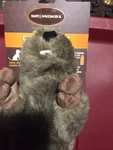 Ruff & Whiskerz Stufferz Dog Pet Chew Toys Puppy New Crunchy Interactive. Fixed Price $9.99.