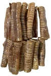 $$bulk Sale$$ Packs 6" Wrapped Beef Trachea Tube For Dogs 100% Natural Bones. Fixed Price $125.00.