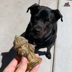 Redbarn Chew-a-bulls, 6 Pack Large Hydrant Shape Dog Dental Treats Daily Ora. Fixed Price $16.99.