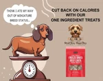 Doggiegear The Only Freeze Dried Beef Liver Dogs Need (4OZ). Fixed Price $14.95.