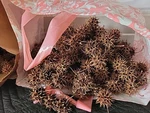 Crafts & Art Sweet Gum Tree 3.5LB Bag-spiked Ball Pods, Dried (450-500PC). Fixed Price $26.00.