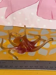 Vintage Fisher Price Octopus Rubber,please Visit My Toys. Fixed Price $9.99.