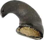 Super Fills Dog Chews Natural Stuffed Horn, Hoof, Trachea & Goat Treats. Fixed Price $32.00.