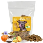 Pumpkin Dog Treats Digestion Biscuits Training Human-grade 7OZ-FPN. Fixed Price $14.99.