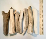 Best Value! 2 Pounds Of Seasoned Deer & Elk Whole Antler Dog Chews -med Lg. Fixed Price $59.95.