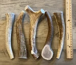 Large Elk/deer Antler Premium Dog Chew (1PC) **oregon Works**. Fixed Price $17.95.