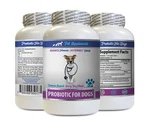 Bad Dog Breath Remedy - Probiotics 1B. Fixed Price $22.32.