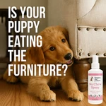 No Spray For Dogs, Cats Bitter Stop Chewing On Paws, Furniture Usa. Fixed Price $16.80.