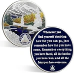 1 Month Sobriety 30 Day Chip One Aa Coins Recovery Medallion. Fixed Price $36.48.