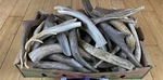 * Dog Chews 1LB Large Deer Antler All Natural, Organic High Quality. Fixed Price $29.99.