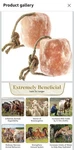 Salt Lick 6LB Himalayan Animal Block & Rope 2,4 More Horse Cow Deer Affordable. Fixed Price $21.99.
