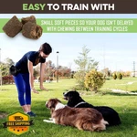 Brutus And Barnaby Dog Training Treats, Peanut Butter Apple, Vegan. Fixed Price $73.29.