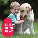 Medium Dog Toy Durable Natural Rubber Fun Chew Chase Fetch Teething Barking. Fixed Price $29.99.