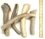 Best Value! 2 Pounds Of Seasoned Deer & Elk- Whole Antler Dog Chews Jumbo Xl. Fixed Price $59.95.