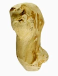 Ware Gorilla Chew Ecologically Harvested Solid Wood, Xs Dogs Favorite. Fixed Price $14.07.