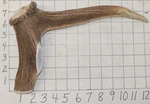 #1 Elk Antler Crown Walking Cane Top Handle Crafts Dog Chew Treat. Fixed Price $47.00.