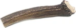 Prairie Dog Antlers North American Whole Deer Mega Naturally Shed. Fixed Price $42.99.