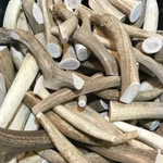 2 Pounds Premium Grade Elk/deer Whole Antler Dog Chews Treats - Xl And Jumbo. Fixed Price $89.95.