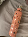 Nwt Disney Parks Critter & Pets Stainless Steel Water Bottle Tumbler 34 Oz. Fixed Price $10.00.