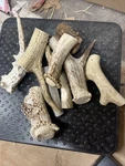 2LBS Random Whitetail Deer Antler Dog Chew Scraps Grade Cheap/sale. Fixed Price $25.99.