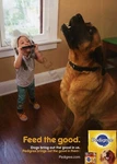 2021 Pedigree Dog Food Dry Wet Mars Old Print Ad Unique Gift Idea (1908). Fixed Price $6.00.