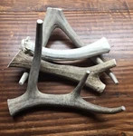 1 Lb Of Bargain Bones Whole Deer Antler Dog Chew Mix-m/l-free Shipping. Fixed Price $30.99.