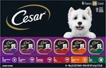 Cesar Wet Dog Food Classic Loaf In Sauce Grilled Chicken Filet Mignon 36 Count. Fixed Price $29.99.