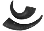 Peaksnpaws Premium Free Range Water Buffalo Horns. Fixed Price $25.00.