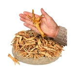 All Natural Chicken Feet Dog Treats (100 Pcs) Dehydrated For Freshness Su.... Fixed Price $47.86.