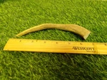 Solid 6"- 7" Whitetail Deer Antler Dog Chew What You See Is Get!. Fixed Price $7.49.