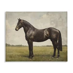 Stupell Industries Espresso Horse Portrait Canvas Wall Art Design By Petal. Fixed Price $156.71.