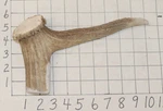 #1 Elk Antler Crown Walking Cane Top Handle Crafts Dog Chew Treat. Fixed Price $33.00.