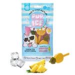 Ethical/spot Pup Ice Fruity Lollies Pineapple. Fixed Price $15.34.