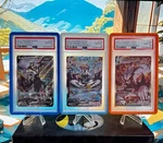 3X Psa 10 Battle Styles Urshifu Lot (reg Gradedguard & Snowfall Inc). Fixed Price $492.00.