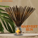 Harvest Sun Hand-dipped Dual Scent 11" Incense Sticks 25, 50, 100 Count. Fixed Price $10.00.