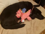 Godog Dragons Large Coral Chew Guard Squeaker Plush Toy 770638. Fixed Price $18.99.
