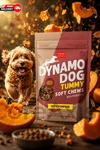 Cloud Star Dynamo Dog Tummy Chews Pumpkin Ginger Grain Free 14 Oz Pouch. Fixed Price $19.99.