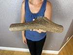 Huge Jumbo Whole Elk Antler Dog Chew Sale Select Massive! Colossal Big 13. Fixed Price $54.99.