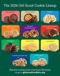 Girl Cookies Thin Mints - 12 Boxes Scouts. Fixed Price $84.00.