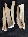 5 Pack Medium*cheap* Whitetail Deer Antler Dog Grade *best Value*chews. Fixed Price $26.00.