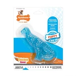 Nylabone Puppy Dental Dinosaur T-rex Chicken Flavor Teething Chew Toy For Dogs. Fixed Price $13.00.