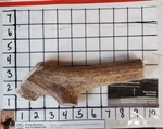 One Big Dog Chew Harder / Ultra Jumbo Elk Antler Treat 1LB -options. Fixed Price $28.99.